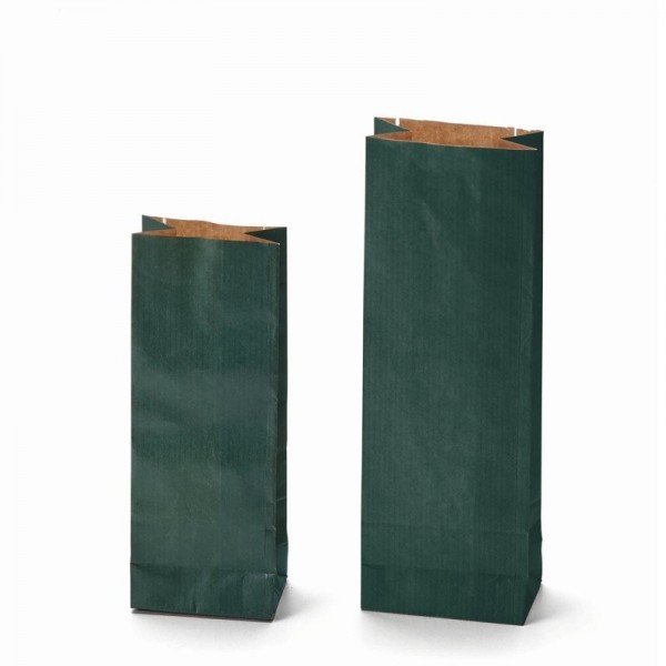 Two layer bags Natron green color