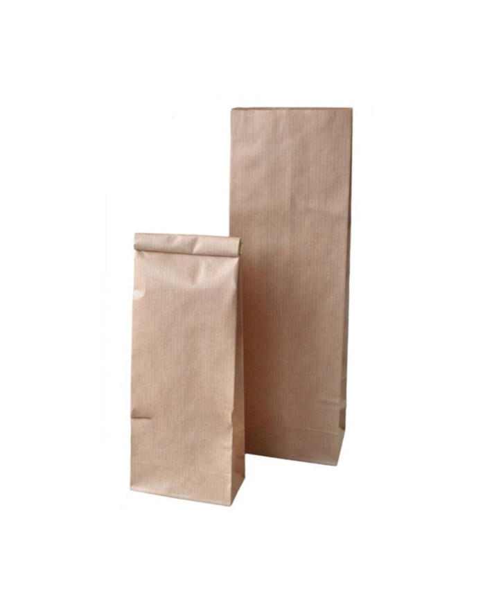 Two layer Kraft bags  with GPP film