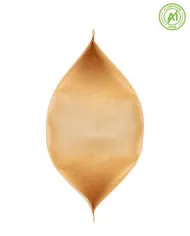 Doypack bag with ZIP without ALU layer